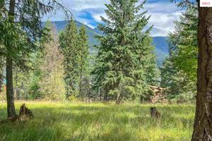 NNA Lot 8 Deer Haven Drive