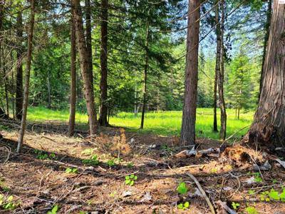 NNA Green Bay Rd - Lot 1C