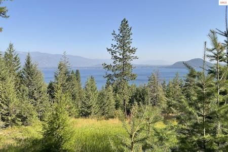 NNA Big Pine Drive