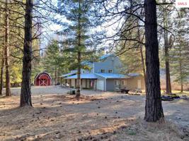 224 Haughey Drive