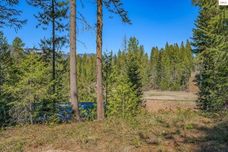 NNA Lot 13 Swan Shores Drive