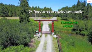 NNA Amethyst Lane Lot 5