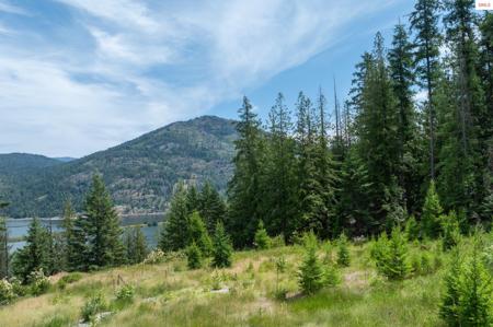 161 FINCH TRAIL