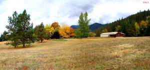 86 1/2 O'Neil Mountain Rd