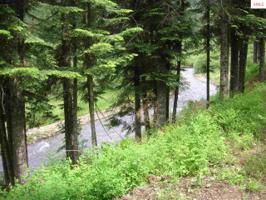 13308 Marie Creek Road
