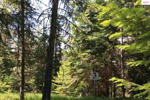 Lot 3 Priestview Lane
