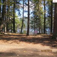 441 Pinto Point Rd