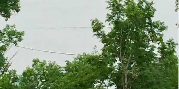 6 Lakeside Road