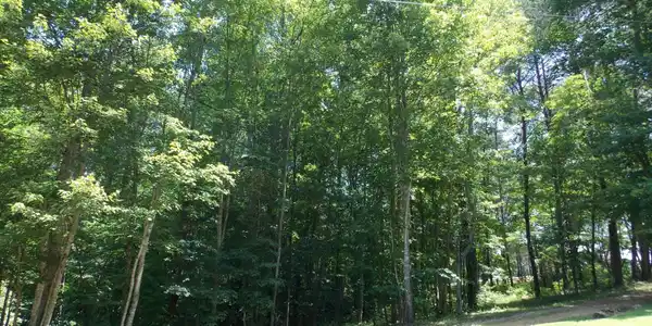 Lot 84&85 Golden Pond Road