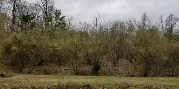 191 Pheasant Run