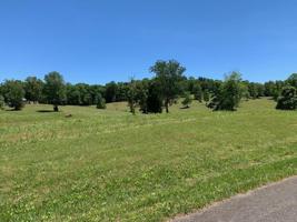 19.65ac Polstontown Road