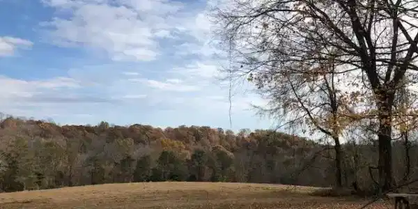 310 Fox Point Road