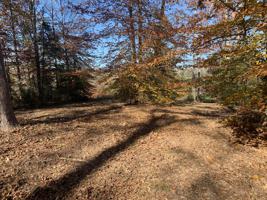Lot 25 Twin Creeks Estate