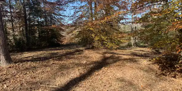 Lot 25 Twin Creeks Estate