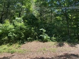 148 Lakewoods Drive