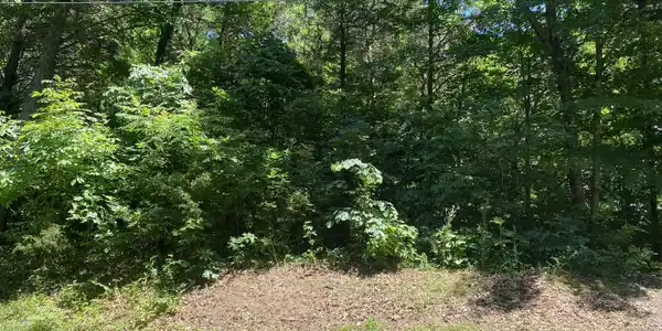 148 Lakewoods Drive