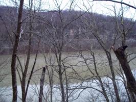 192 Buck Tail Drive