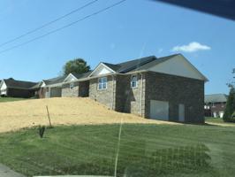 155 Joe Lewis Road
