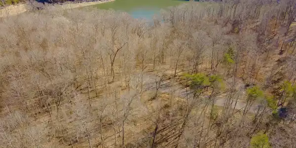 101 Treasure Hollow Road