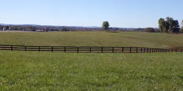 4039 Ky-80