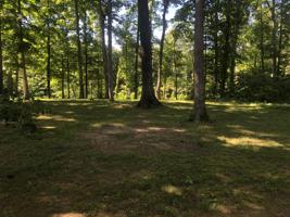 272 Lakeview Dr.