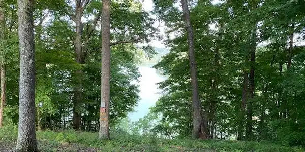 477 Lakepoint Drive