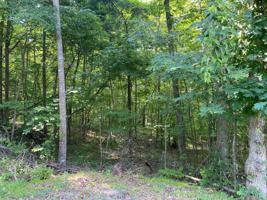 00 Sunnyside Trail