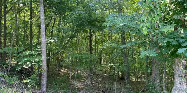 00 Sunnyside Trail