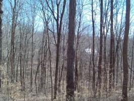 Lot 29 Big Beech Lane