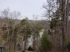40 Shepperd Road
