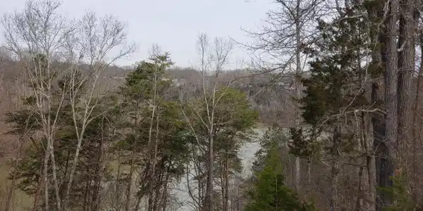 40 Shepperd Road