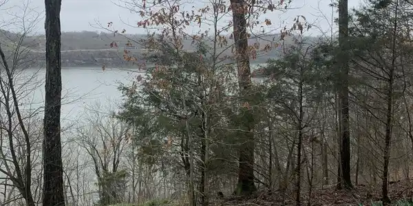 359 Lake Cliff Drive