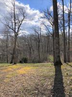 Lot 8 Alligator Cove
