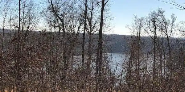 19 Griffin Trail