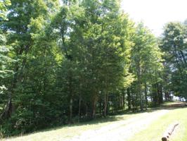 Lot 84&85 Golden Pond Road