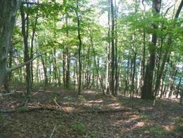 47 Cave Springs Road