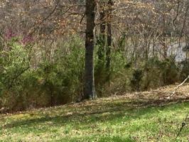 6 Lily Creek Court