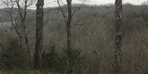 0 Basin Rock Road