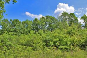 1610 Sugar Tree Hollow Rd