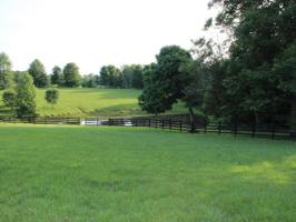 144 The Village Drive
