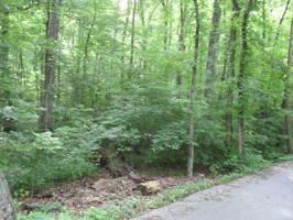 61 Golden Pond Road