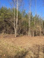 44 Meadow Circle