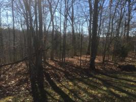 135 Circle View
