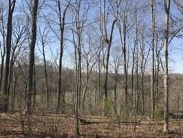 0 W Old Jamestown Road