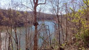 Lot 16 Fountain Way