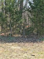 723 Water Cliff Drive