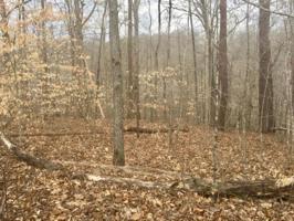 16 Harbor Springs Road