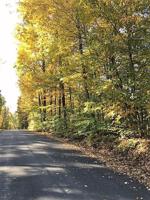 11 Clifty Creek Road