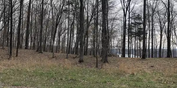 Lot 30&31 Griffin Trail