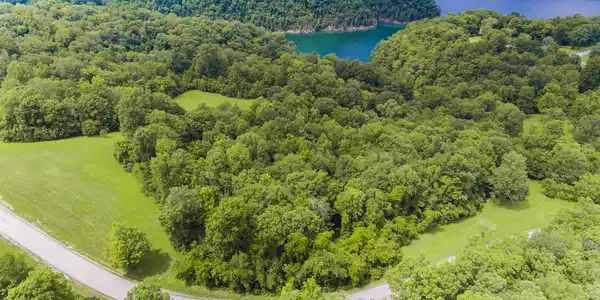 59 Hickory Point Drive